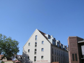 Отель Hotel zur Promenade  Донаувёрт